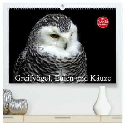 Greifvögel, Eulen und Käuze (hochwertiger Premium Wandkalender 2027 DIN A2 quer), Kunstdruck in Hochglanz