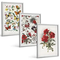 BILDER SET 3er Set - 40x60 cm Silberner Rahmen - Schmetterlinge, Blumen, rote Rosen
