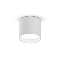 Helestra LED-Deckenleuchte Dora Metall