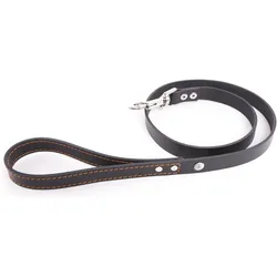 Martin Sellier Flash (100, Hund, Spazieren), Halsband + Leine