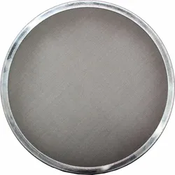 Wolf Ansaugfilter 240mm 1669234 für SWP