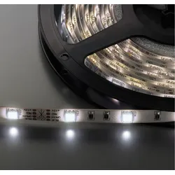  LEDS-55MPWS 