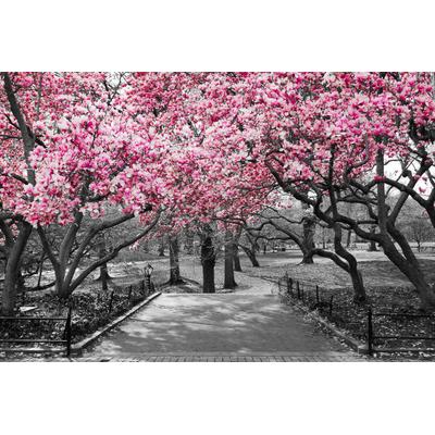 Fototapete PAPERMOON "Rosa Blüten", bunt, B:2m L:1,49m, Vlies, Tapeten