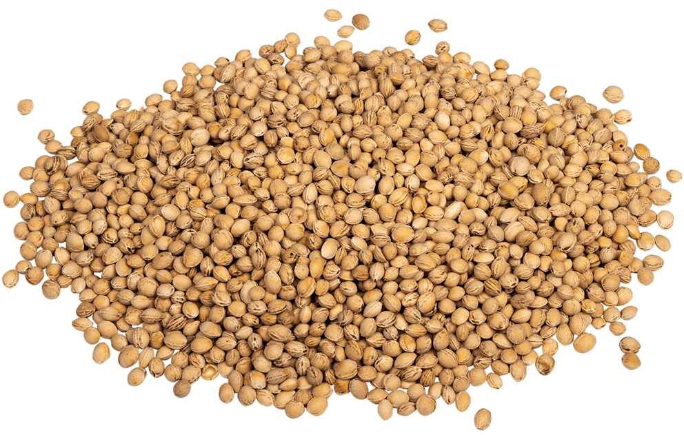 vidaXL Noyaux de cerisier pour coussin chauffant 25 kg