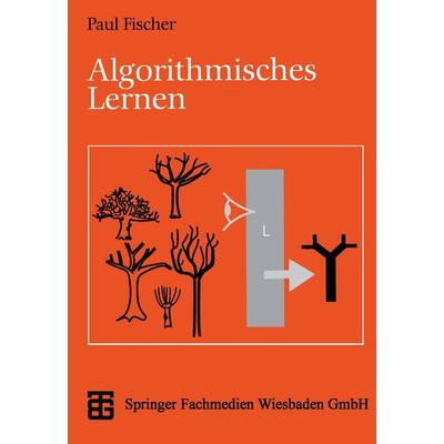 Algorithmisches Lernen, Taschenbuch von Paul Fischer, Vieweg & Teubner, 978-3-519-02946-5