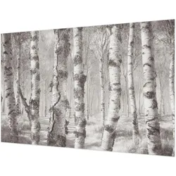 FOTOTAPETE 104x70 cm - Birkenwald
