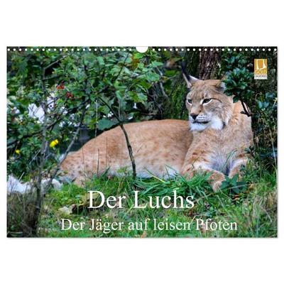 Der Luchs - Der Jäger auf leisen Pfoten (Wandkalender 2027 DIN A3 quer), CALVENDO Monatskalender