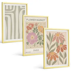 BILDER SET 3er Set - 40x60 cm Goldrahmen - Botanische Motive, Pariser Minimalismus
