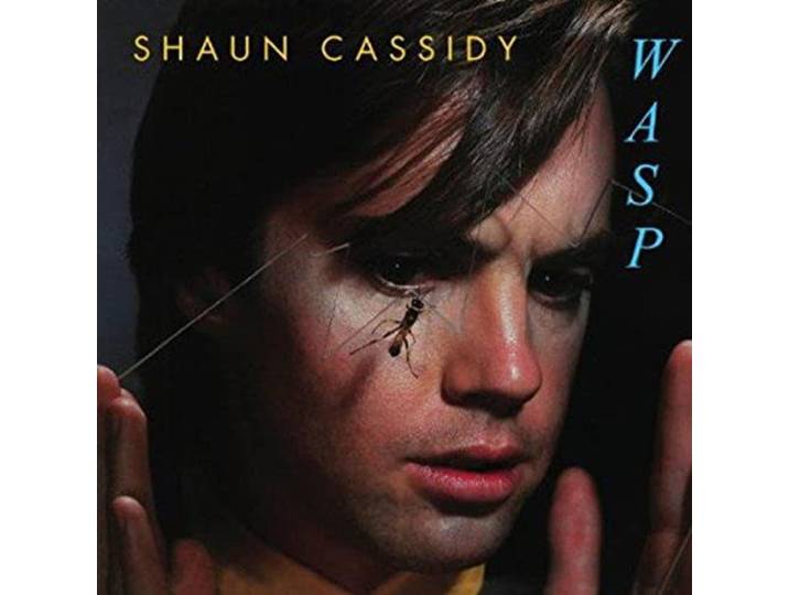 Wasp