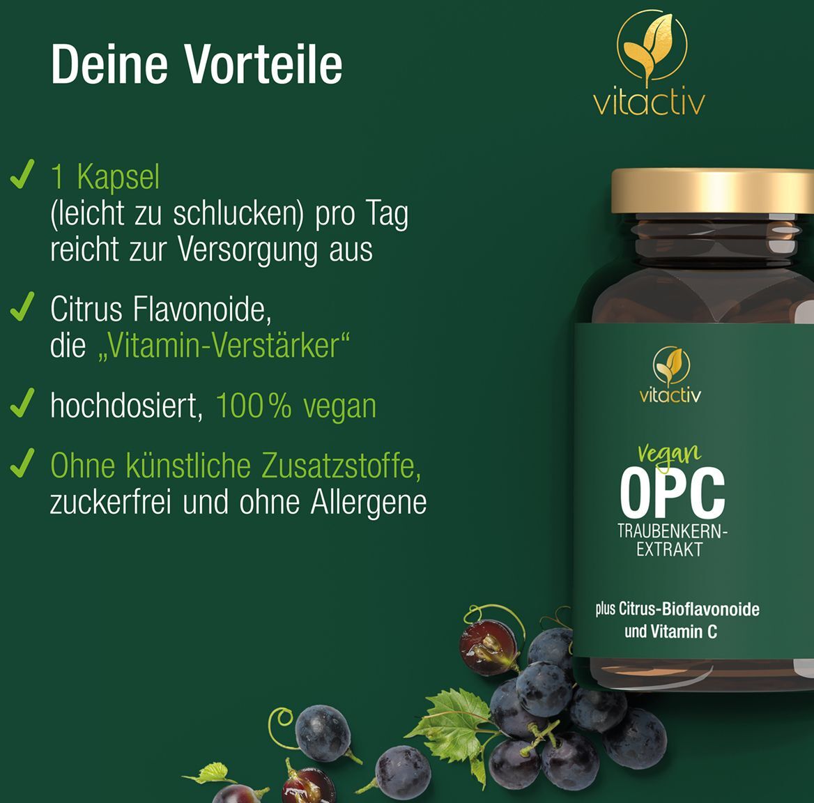 Vitactiv OPC Traubenkernextrakt Kapseln 180 St