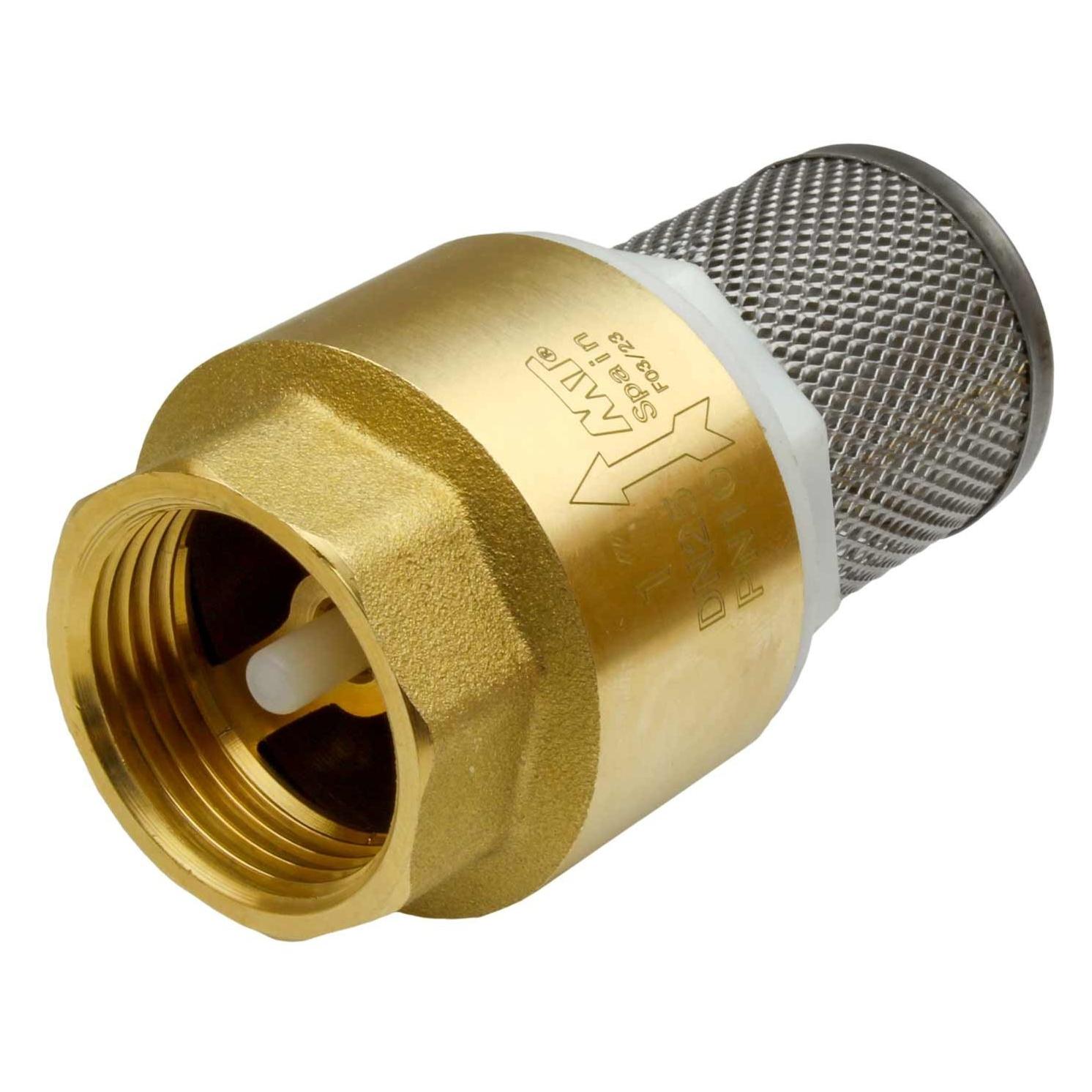 MT CHECK VALVE 4117025 1 IN WITH FILTER (33046569)