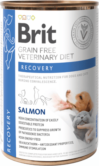 Brit Veterinary Dog Recovery Salmão 6 uds x 400g