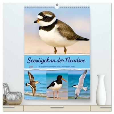 Seevögel an der Nordsee (hochwertiger Premium Wandkalender 2027 DIN A2 hoch), Kunstdruck in Hochglanz