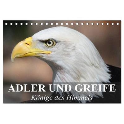 Adler und Greife - Könige des Himmels (Tischkalender 2027 DIN A5 quer), CALVENDO Monatskalender