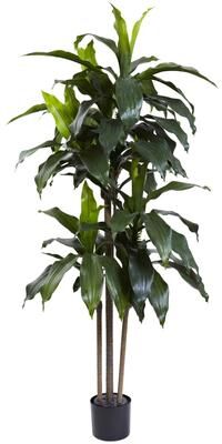 Nearly Natural 5-foot Dracaena Plant UV Resistant (Indoor/Outdoor)