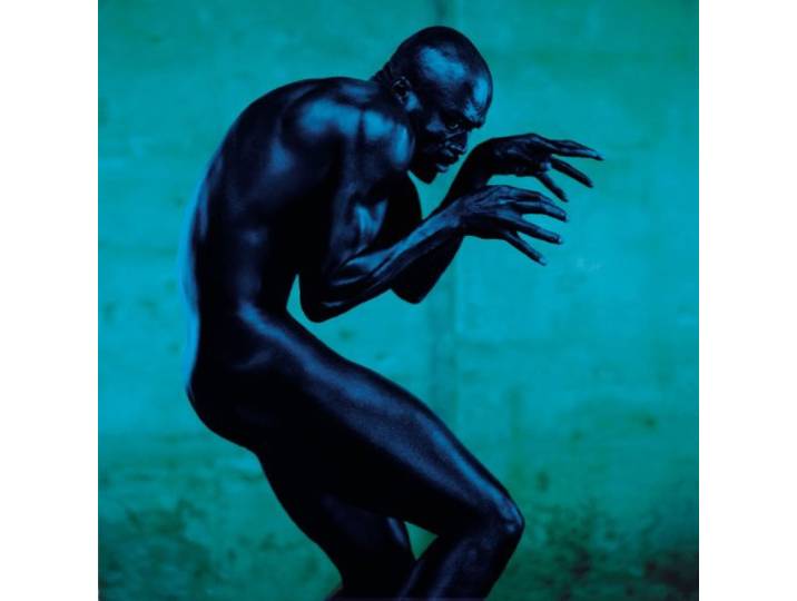 Seal - Human Being