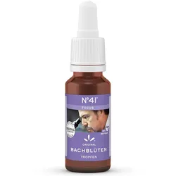 Bachblüten Nr 41 Focus Tropfen 20 ML