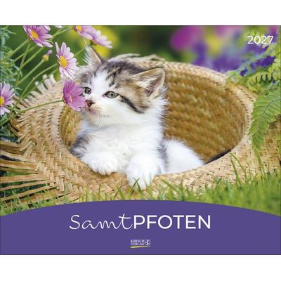 Samtpfoten 2027