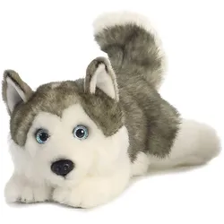 Aurora 26263 - MiYoni Husky Lying, liegend, Plüschtier, 28 cm (28 cm)