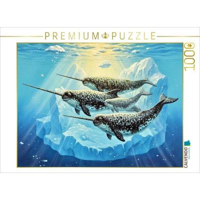 CALVENDO Puzzle Narwale mit Jungtier in der Arktis | 1000 Teile Lege-Größe 64x48cm Foto-Puzzle für glückliche Stunden