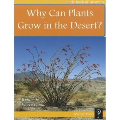 Why Can Plants Grow in the Desert?, Taschenbuch von Pierre Latour, Three Crows Media, 978-1-927136-48-5