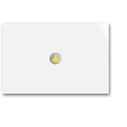 Busch-Jaeger KNX 2CKA006310A0105 Bediengerät 6340-24G-101