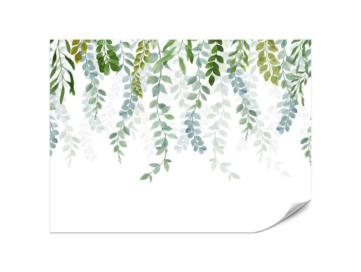 Muralo Fototapete für Schlafzimmer Zarte Ranken Blätter Kletterpflanzen Natur 450x315, Grün, Weiß, Papier, Baum/Pflanze/Natur, Rechteckig, 450x315 cm, Tapeten & Wandverkleidungen, Fototapeten