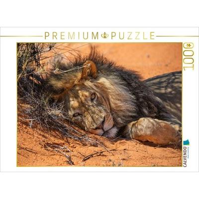 CALVENDO Puzzle Mächtiger Löwenmann ruht im roten Sand der Kalahari | 1000 Teile Lege-Größe 64x48cm Foto-Puzzle für glückliche Stunden