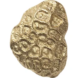Comber Coral Wandhaken goldfarben