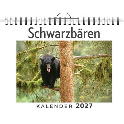 Schwarzbären