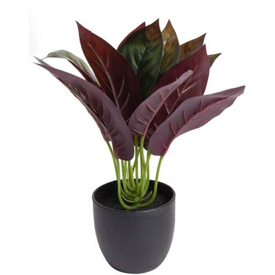 Künstliche Zimmerpflanze BOTANIC-HAUS "Calathea", grün, B:20cm H:20cm T:20cm Ø:20cm, Kunststoff, Kunstpflanzen, Künstliche Zimmerpflanze