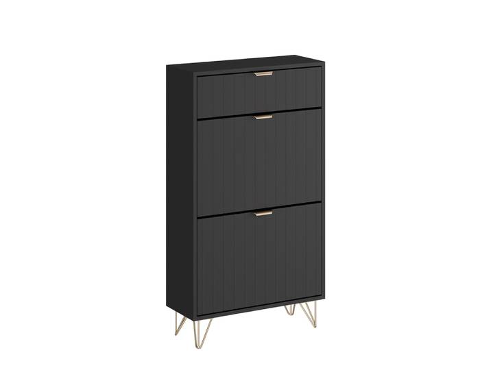 Armoire à chaussures 2 compartiments noir 60x107.5cm