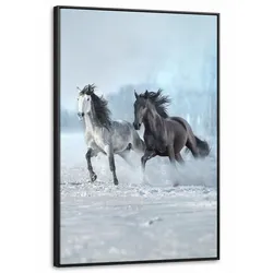 LEINWAND Bilder mit Rahmen - Pferde - Winter - Tiere - Natur - Schnee - 80x120