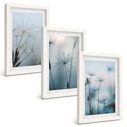 BILDER SET 3er Set - 20x30 cm Weißer Rahmen - Löwenzahn mit Wassertropfen