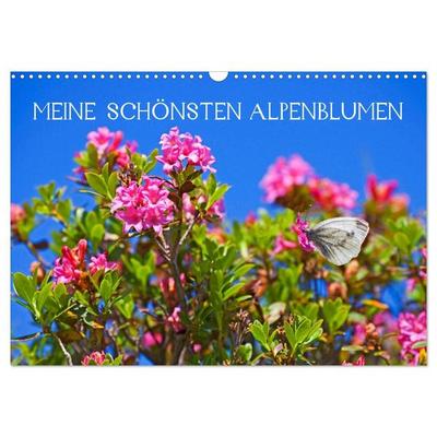 Meine schönsten Alpenblumen (Wandkalender 2027 DIN A3 quer), CALVENDO Monatskalender