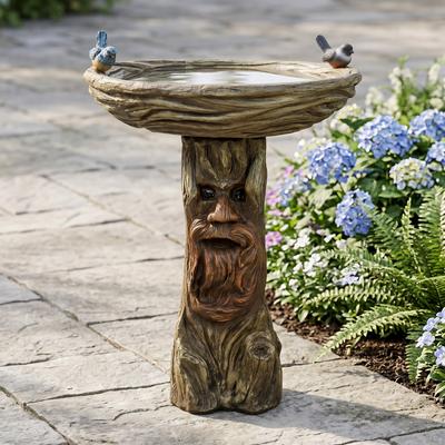 Meedzom 24 Inch Tall Concrete Tree Face Bird Bath with Bird Figurines Pedestal Garden Statue for Yard Decor
