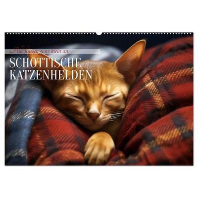 Schottische Katzenhelden (Wandkalender 2027 DIN A2 quer), CALVENDO Monatskalender