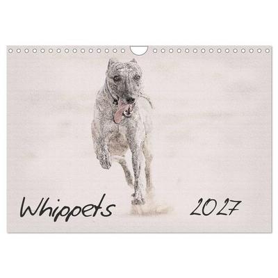 Whippets 2027 (Wall Calendar 2027 DIN A4 landscape), CALVENDO 12 Month Wall Calendar
