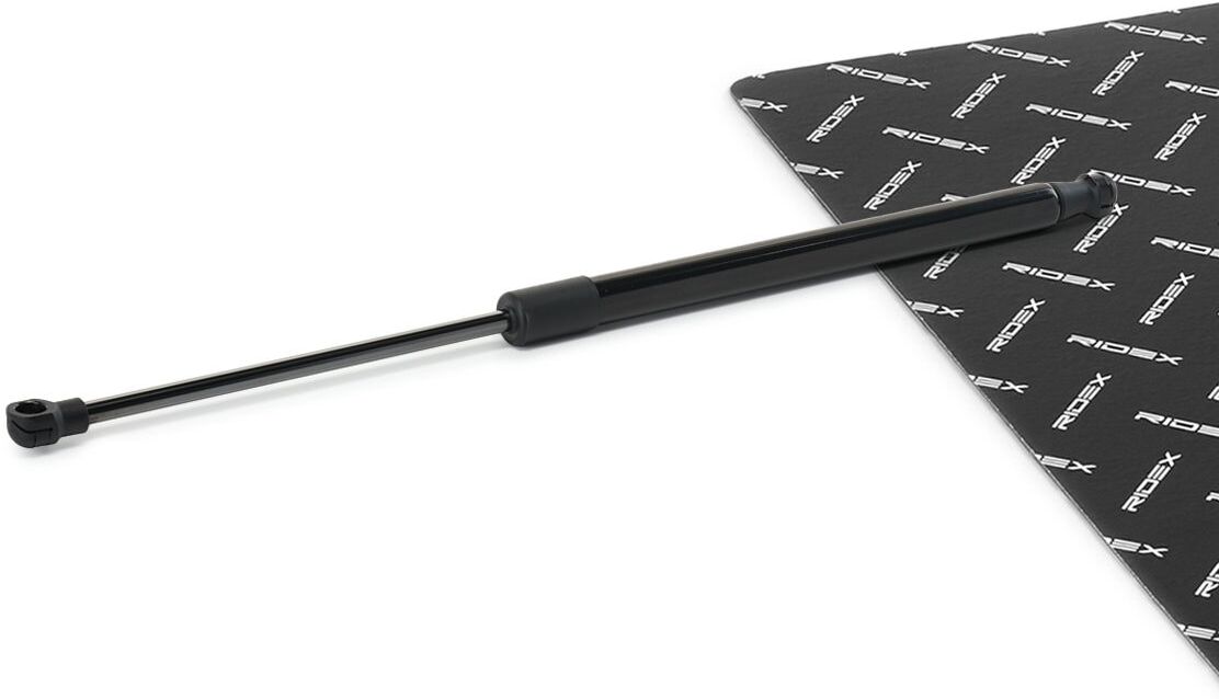 RIDEX 219G1203 Tailgate strut