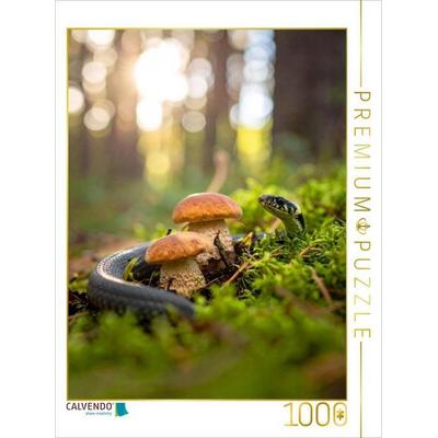 CALVENDO Puzzle Rotkappen und Ringelnatter | 1000 Teile Lege-Größe 64x48cm Foto-Puzzle für glückliche Stunden