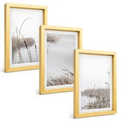 BILDER SET 3er Set - 20x30 cm Goldrahmen - Wasserpflanzen im Sommer