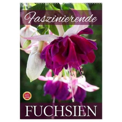 Faszinierende Fuchsien (Wandkalender 2027 DIN A2 hoch), CALVENDO Monatskalender
