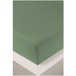 HEFEL Spannleintuch Edel Jersey - 90x190cm - 120x220cm	545 schilf