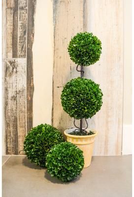 Admired by Nature "Faux Preserved Artificial Boxwood Ball Topiary Plant 5""H, Set of 3 - ABN5P012-GRN-3"