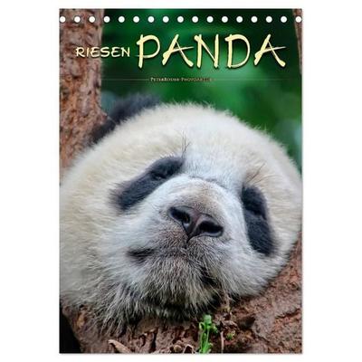 Riesenpanda (Tischkalender 2027 DIN A5 hoch), CALVENDO Monatskalender