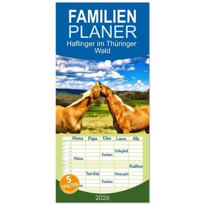 Familienplaner 2026 - Haflinger im Thüringer Wald mit 5 Spalten (Wandkalender, 21 x 45 cm) CALVENDO