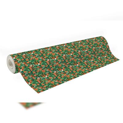 Clairefontaine Geschenkpapier Excellia 80g, Rolle 50x0,70m, Sweet Xmas - Grün 202117C