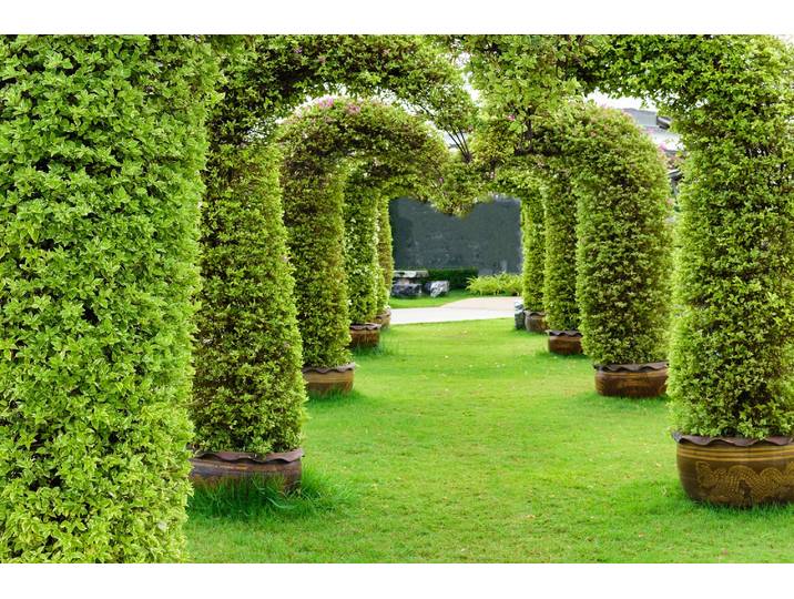 Fototapete PAPERMOON GARTEN-ALLEE BLUMEN BÄUME PFLANZEN STEINE WALD PERGOLA , bunt, B:3m L:2,23m, Vlies, Tapeten, Fototapete
