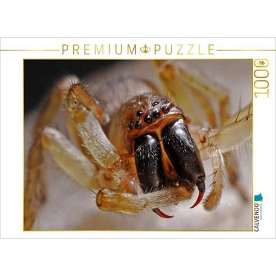 CALVENDO Puzzle Beißwerkzeug einer Spinne | 1000 Teile Lege-Größe 64x48cm Foto-Puzzle für glückliche Stunden, Sonstige von , Calvendo Puzzle