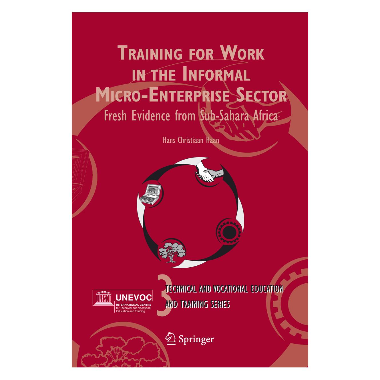 Springer Training for Work in the Informal Micro-Enterprise Sector (Englisch, Softcover, Hans Christiaan Haan) (55378634)